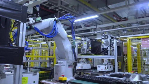 广西数字经济奋楫扬帆 打造经济社会高质量发展的新引擎