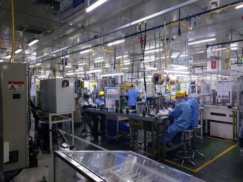 刚进厂的年轻人 在这里，我重新认识了这个社会